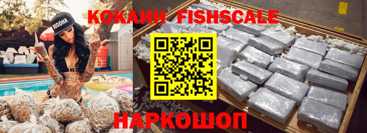 Тула  Кокаин Fish Scale  Вход с VPN 