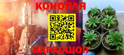 mdpv Новокубанск