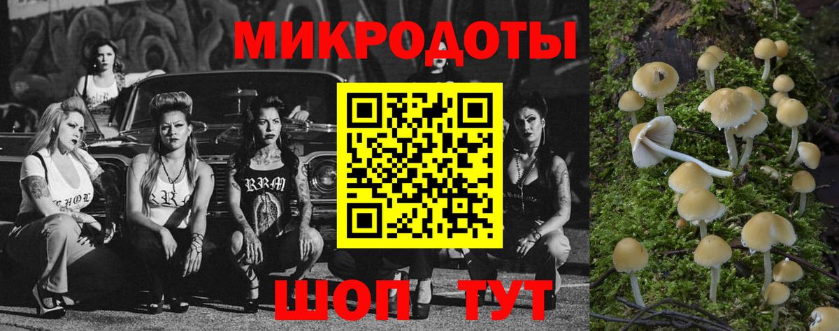 Псилоцибиновые грибы Cubensis Тула